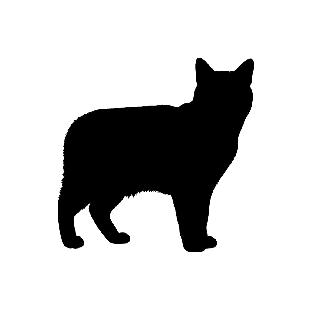 Free American Shorthair silhouette Flat Vector Cat Clipart Template to Edit Online