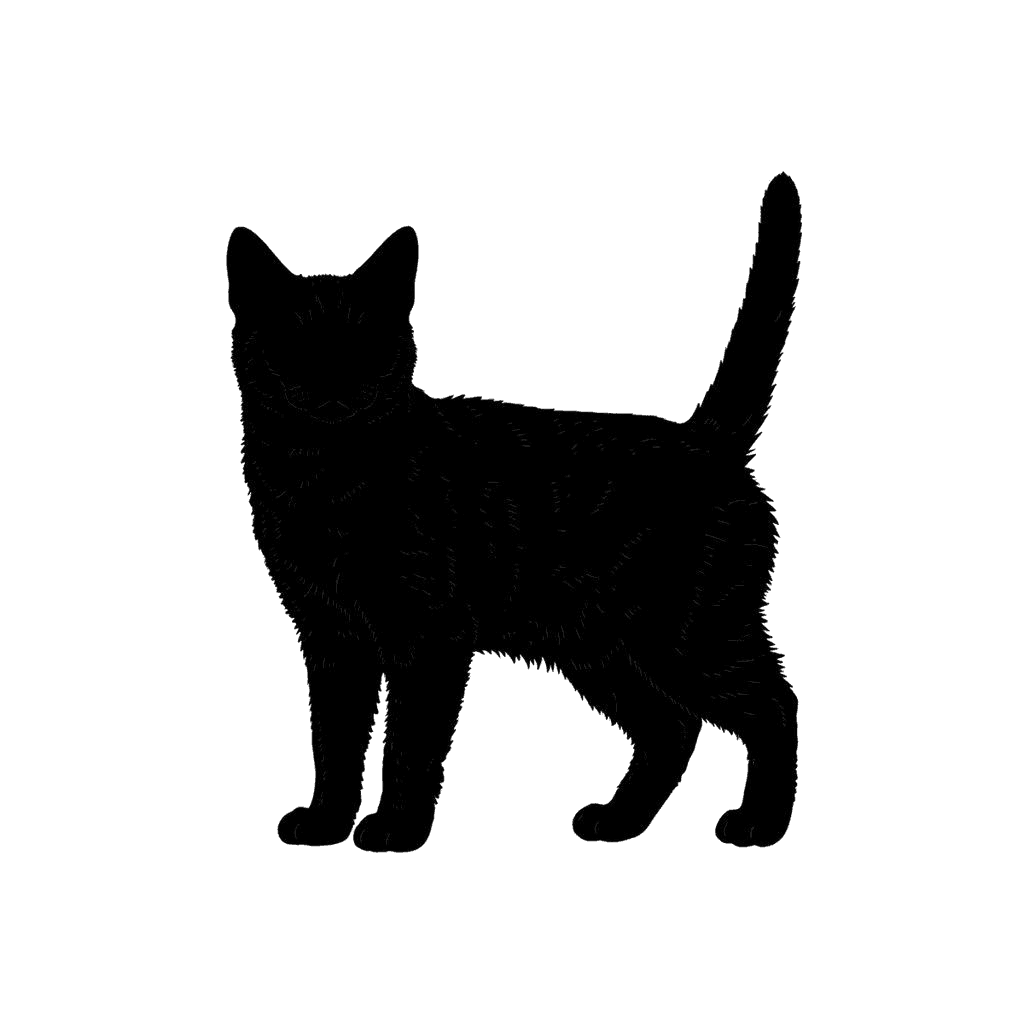 Free American Wirehair silhouette Digital Vector Cat Clipart Template to Edit Online