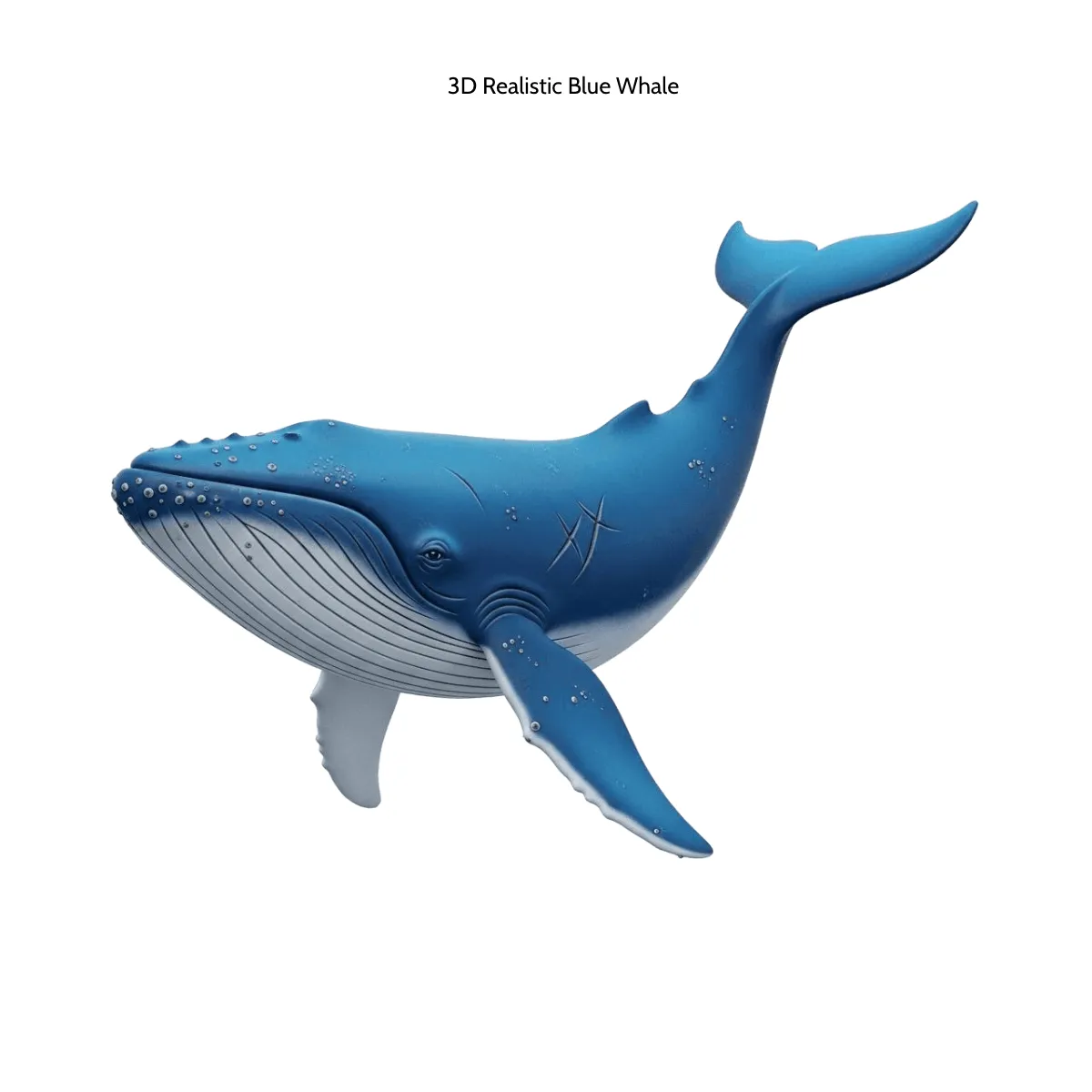 Free 3D Realistic Blue Whale Template to Edit Online
