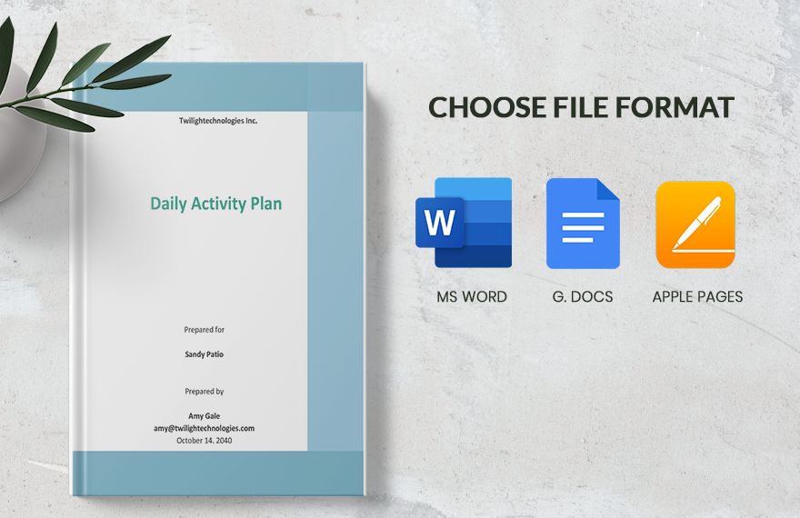 Daily Activity Plan Template