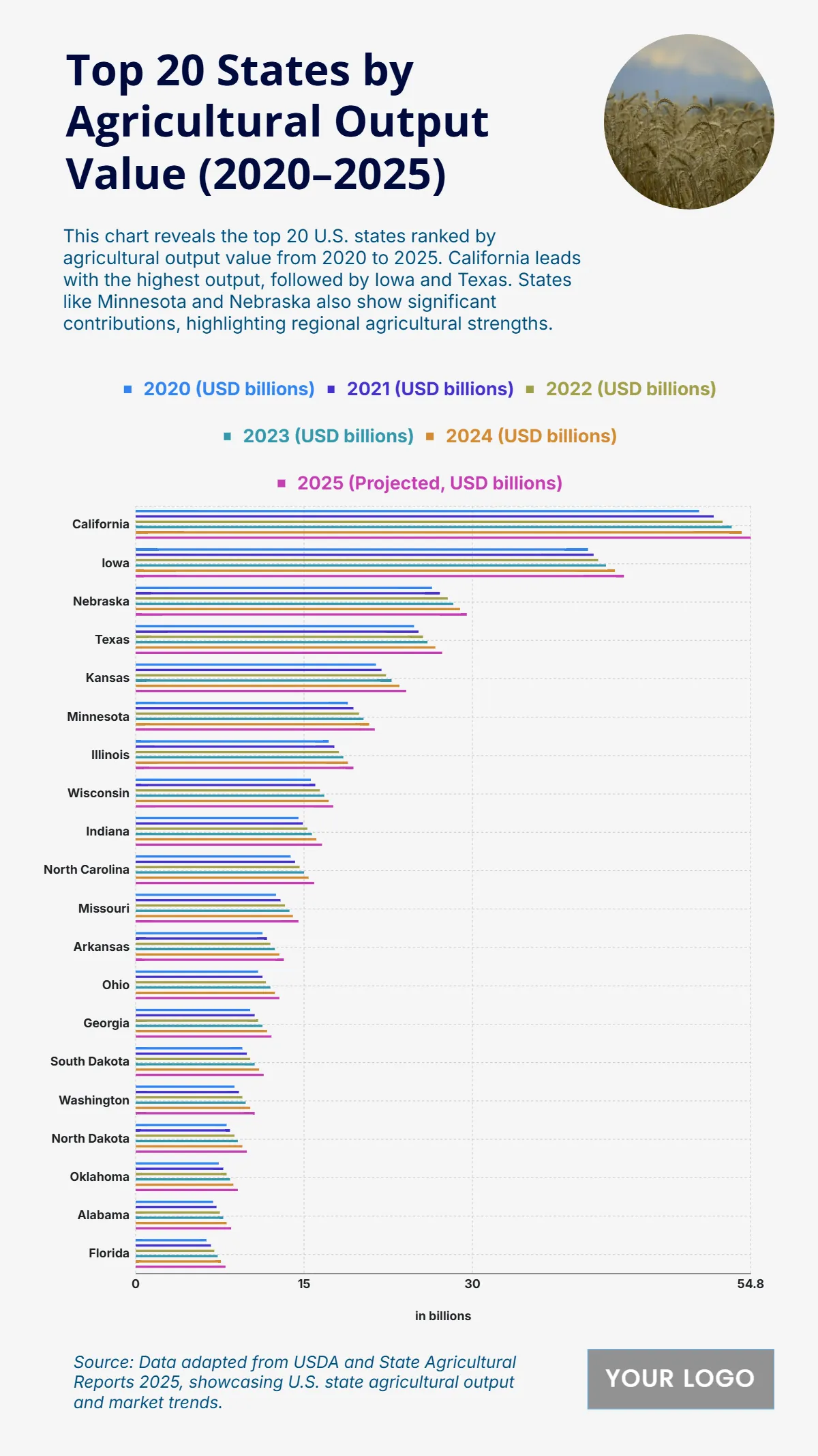 Free Top 20 States by Agricultural Output Value (2020–2025) Charts to Edit Online