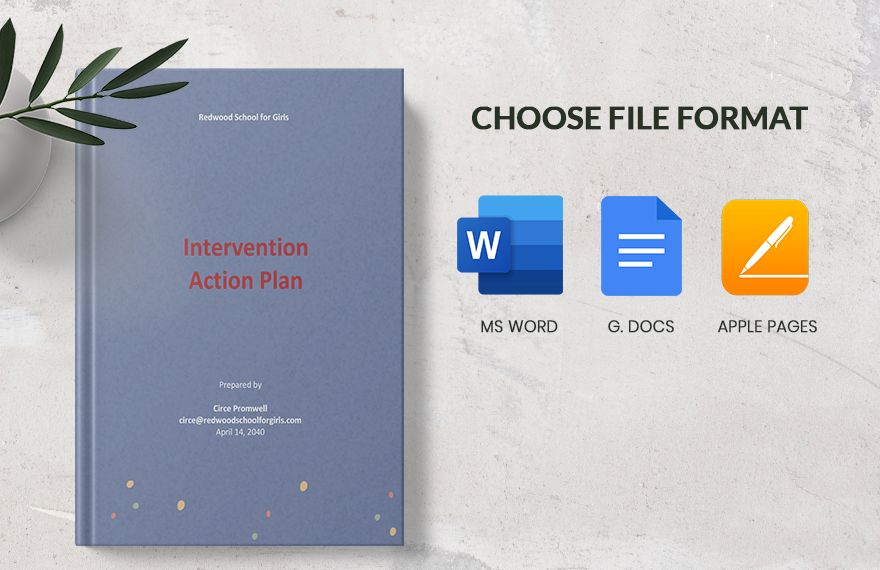 Intervention Action Plan Template