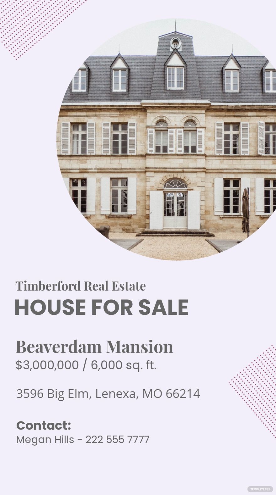 House For Sale Instagram Story Template