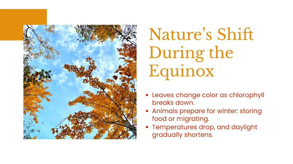 Free Autumnal Equinox  Presentation Template to Edit Online