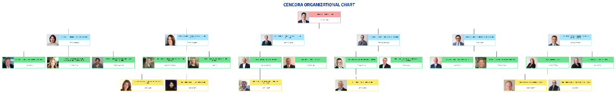 Free Cencora Organizational Chart Template to Edit Online