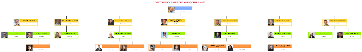 Free Costco Wholesale Organizational Chart Template to Edit Online