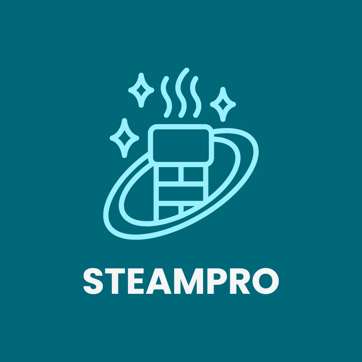 Free Steam Cleaning Logo to Edit Online