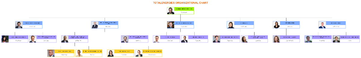 Free TotalEnergies Organizational Chart Template to Edit Online