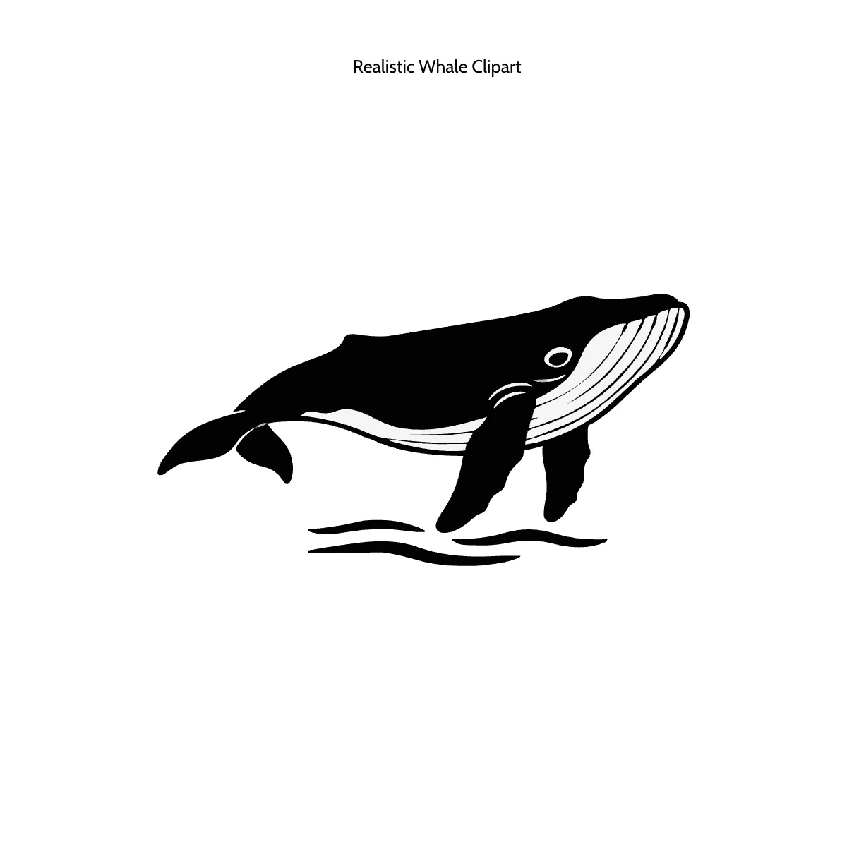 Realistic Whale Clipart