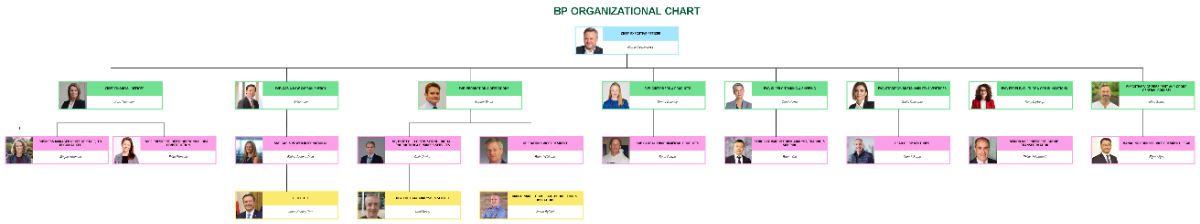 Free BP Organizational Chart Template to Edit Online