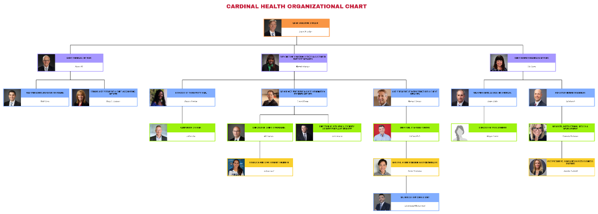 Free Cardinal Health Organizational Chart Template to Edit Online