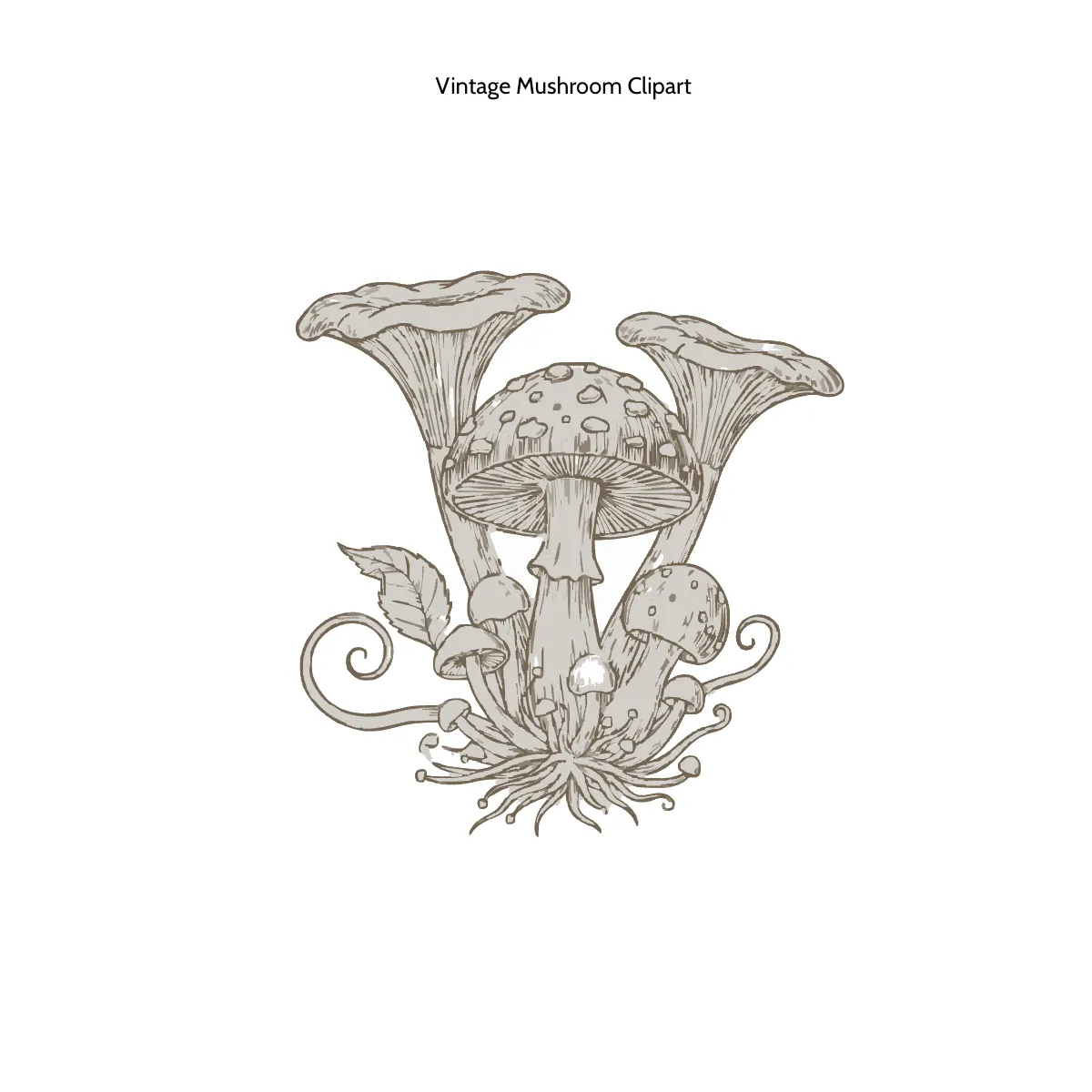 Free Vintage Mushroom Clipart Template to Edit Online Free Vintage Mushroom Clipart Template to Edit Online