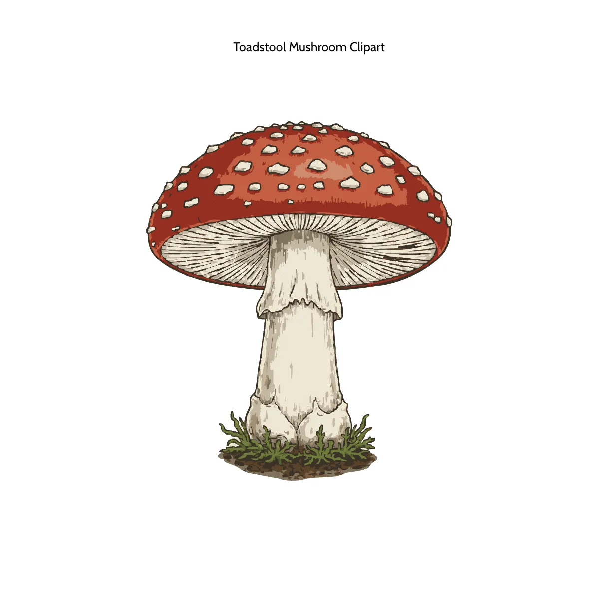 Free Toadstool Mushroom Clipart Template to Edit Online