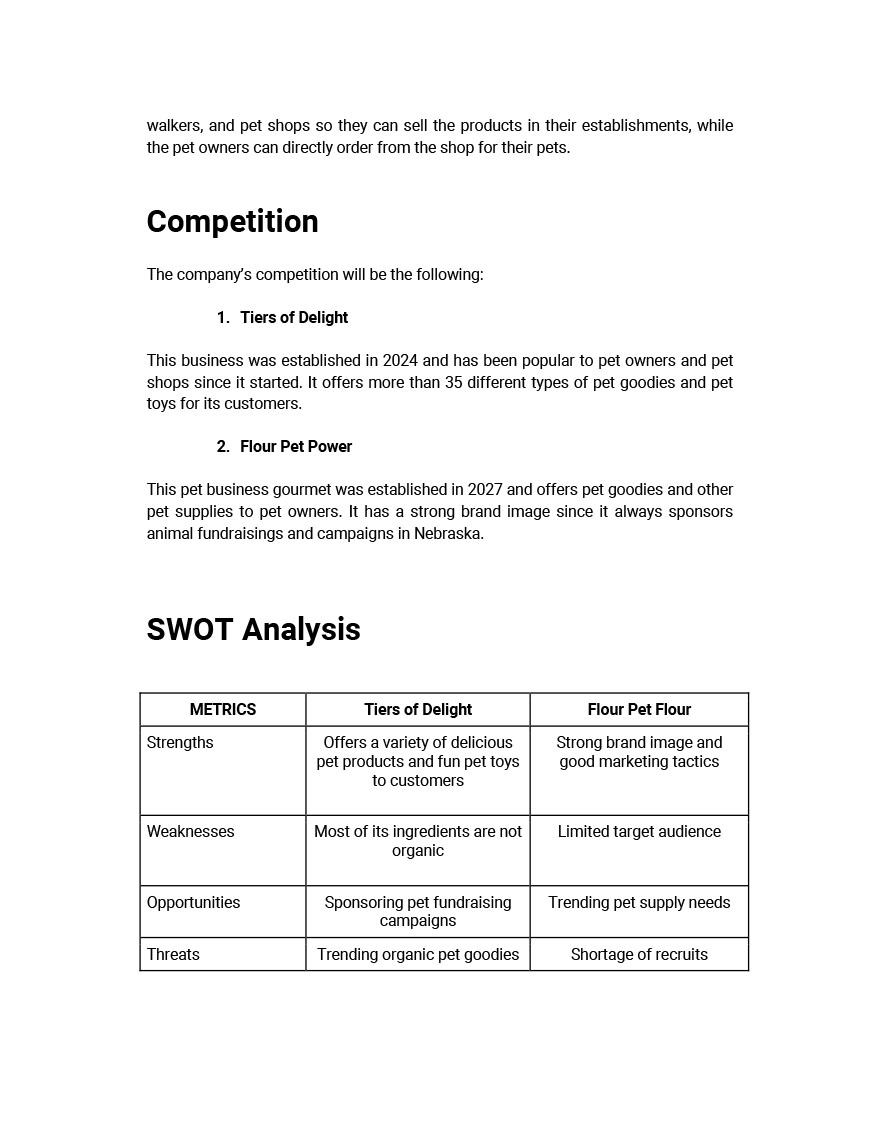 4 year business Plan Template - Google Docs, Word, Apple Pages ...