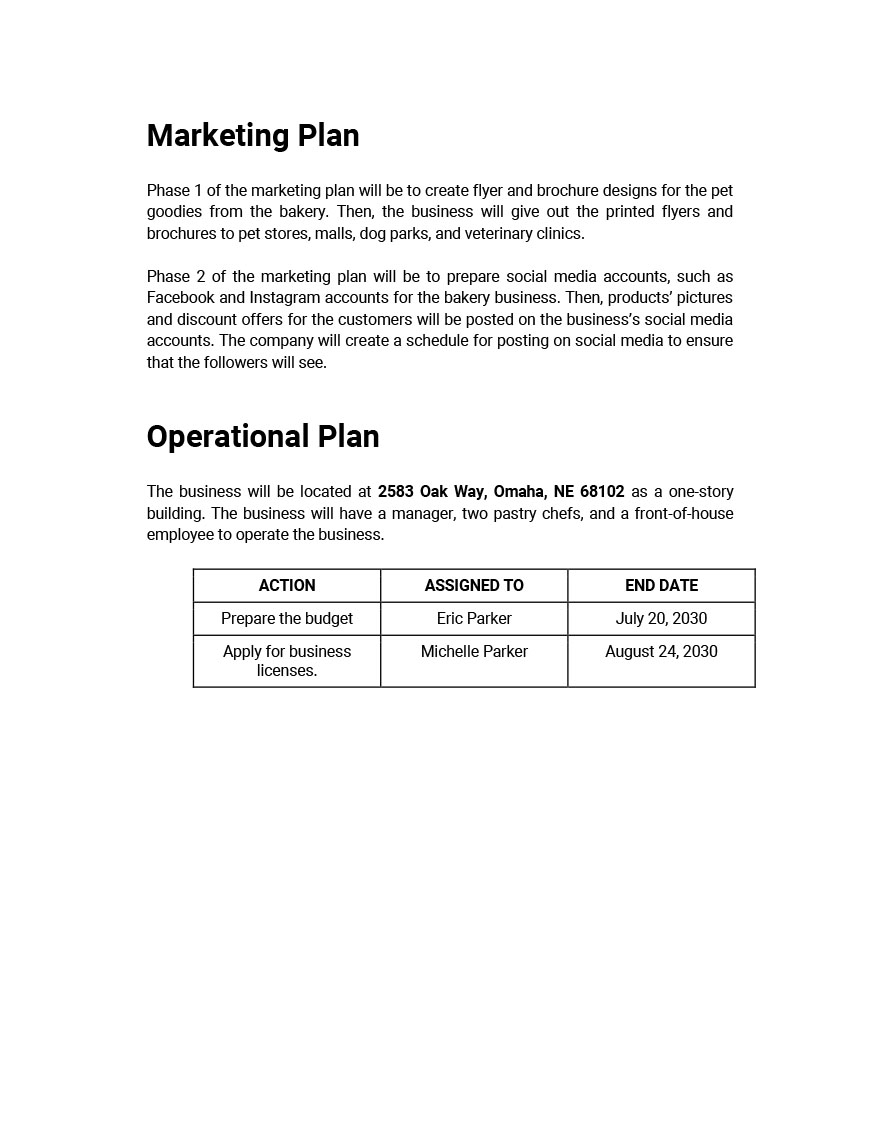 4 year business plan template