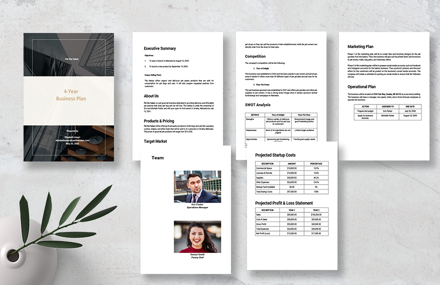 4 year business Plan Template
