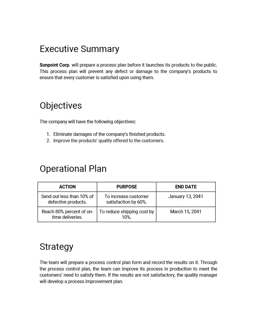 Process Control Plan Template - Google Docs, Word, Apple Pages ...