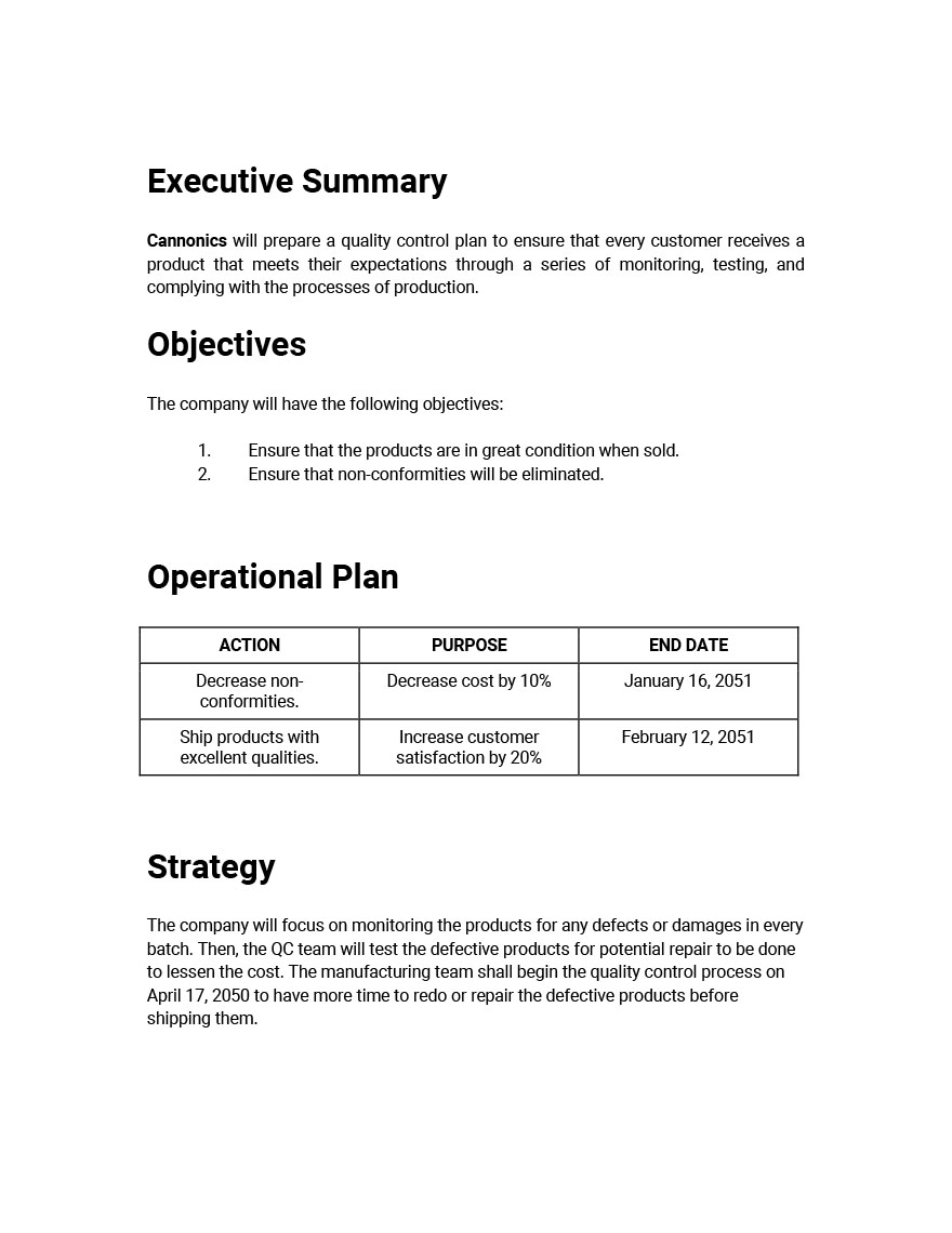 Quality Control Plan - Google Docs, Word, Apple Pages | Template.net