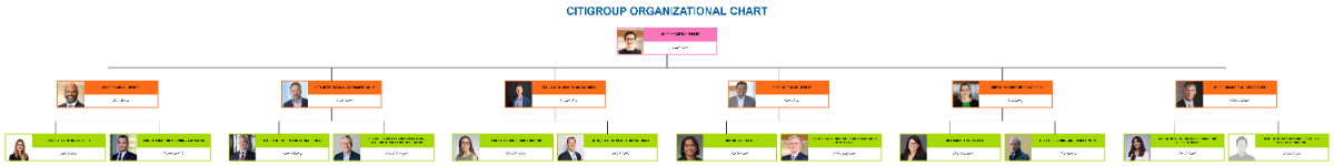 Free Citigroup Organizational Chart to Edit Online