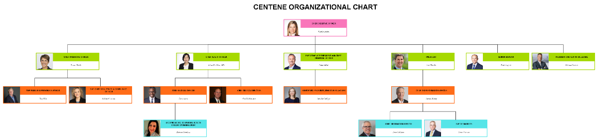 Free Centene Organizational Chart to Edit Online