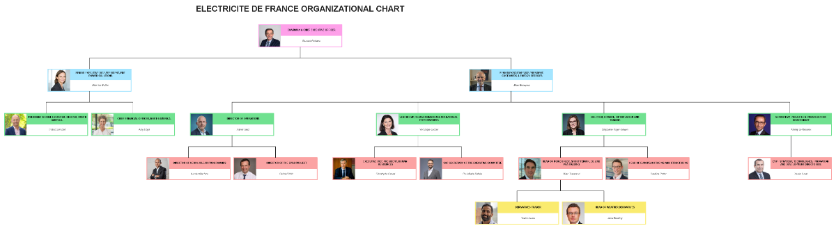 Free Electricite de France Organizational Chart to Edit Online
