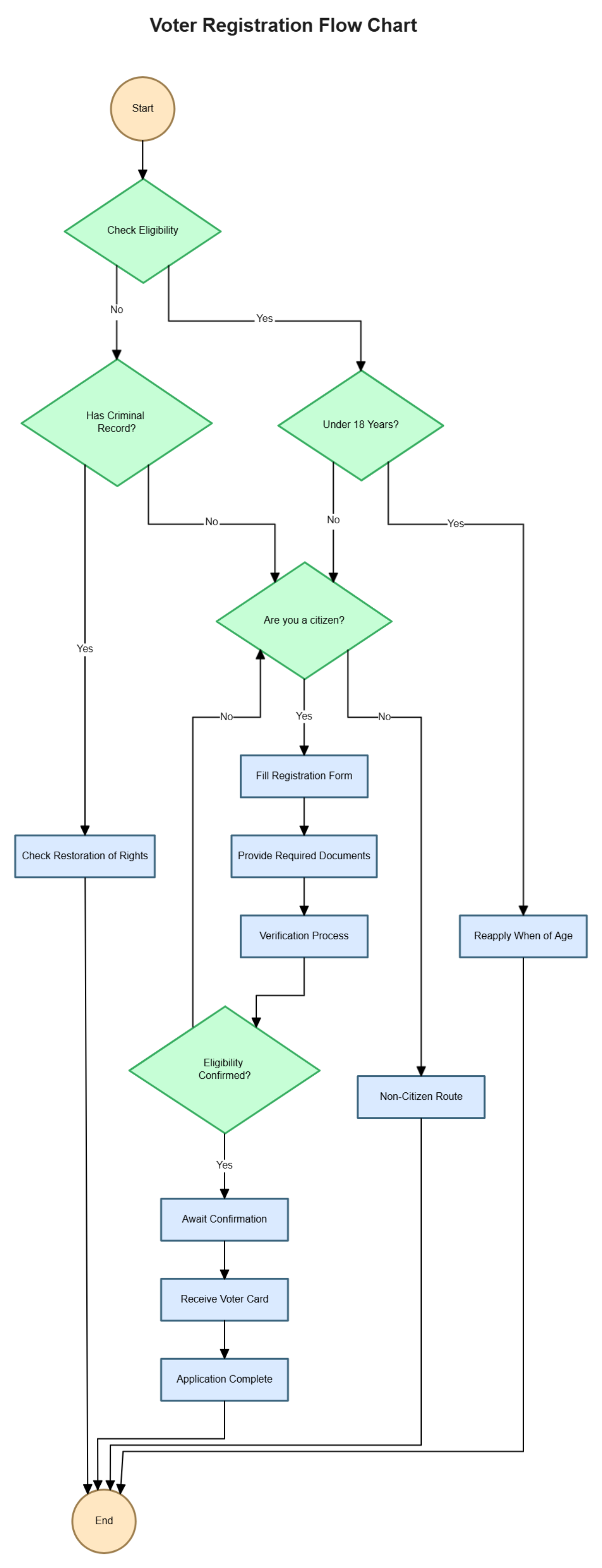 Free Voter Registration Flow Chart to Edit Online