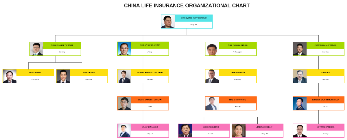 Free China Life Insurance Organizational Chart to Edit Online