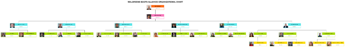 Free Walgreens Boots Alliance Organizational Chart to Edit Online