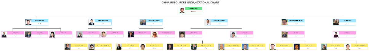 Free China Resources Organizational Chart to Edit Online