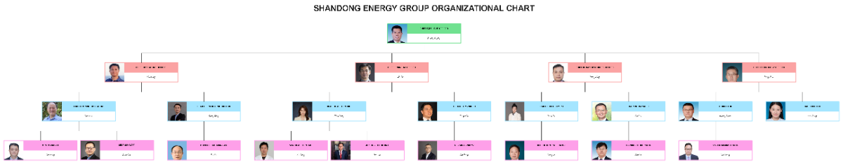 Free Shandong Energy Group Organizational Chart to Edit Online