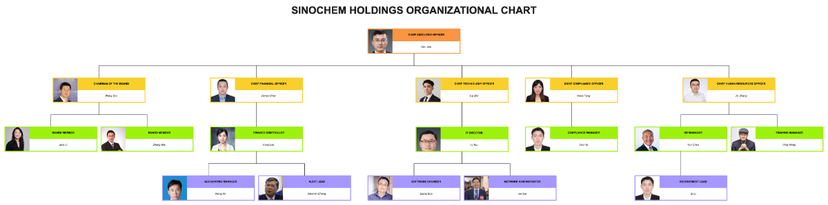 Free Sinochem Holdings Organizational Chart Template to Edit Online Free Sinochem Holdings Organizational Chart Template to Edit Online