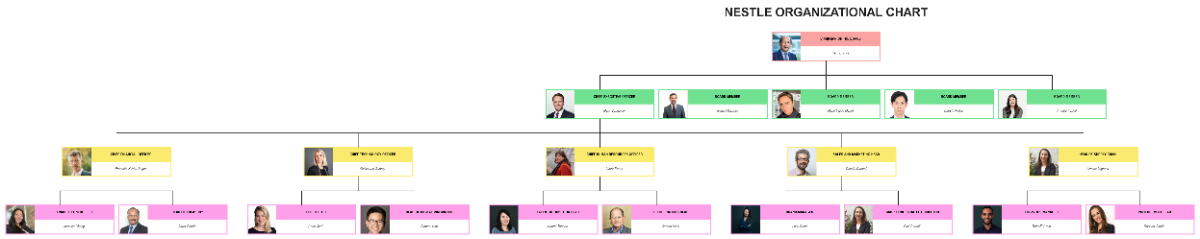 Free Nestle Organizational Chart Template to Edit Online Free Nestle Organizational Chart Template to Edit Online