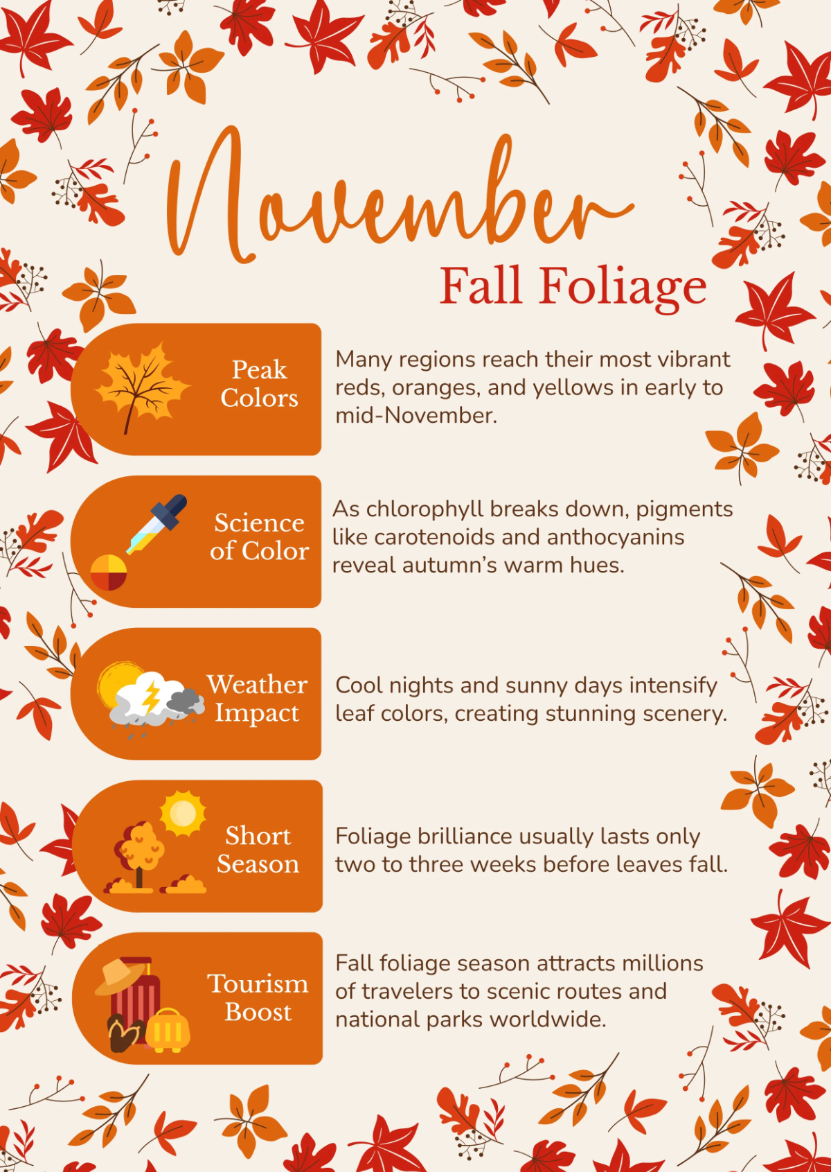 Free Modern November Infographic Template to Edit Online