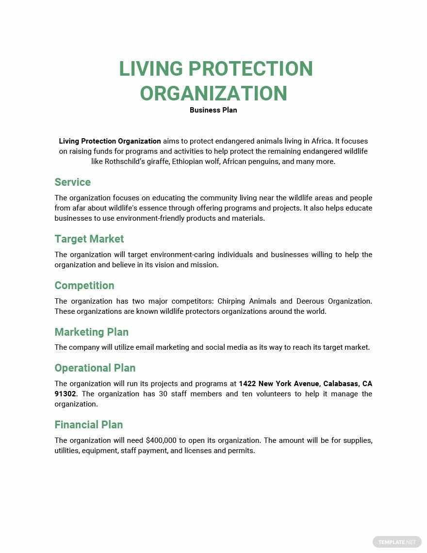 One Page Nonprofit Business Plan Template