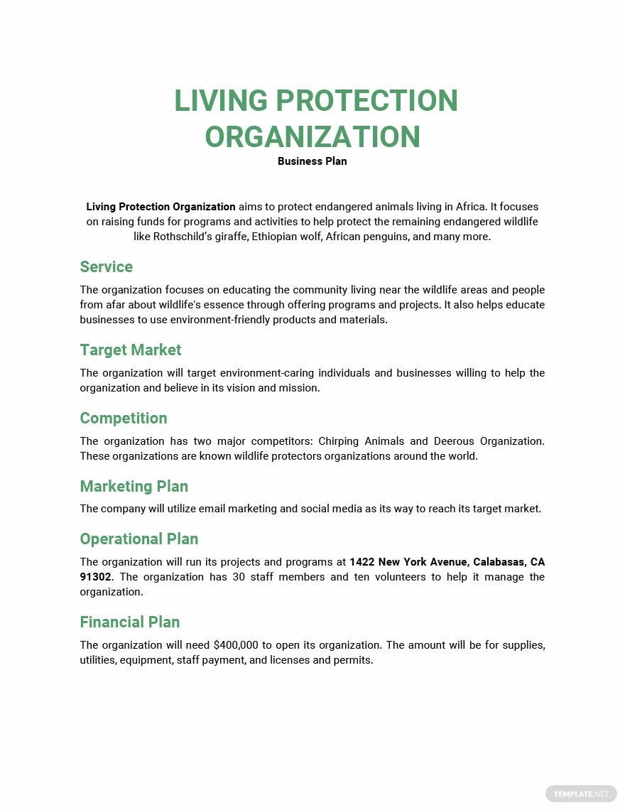 startup-nonprofit-business-plan-template-google-docs-word-apple-pages-pdf-template