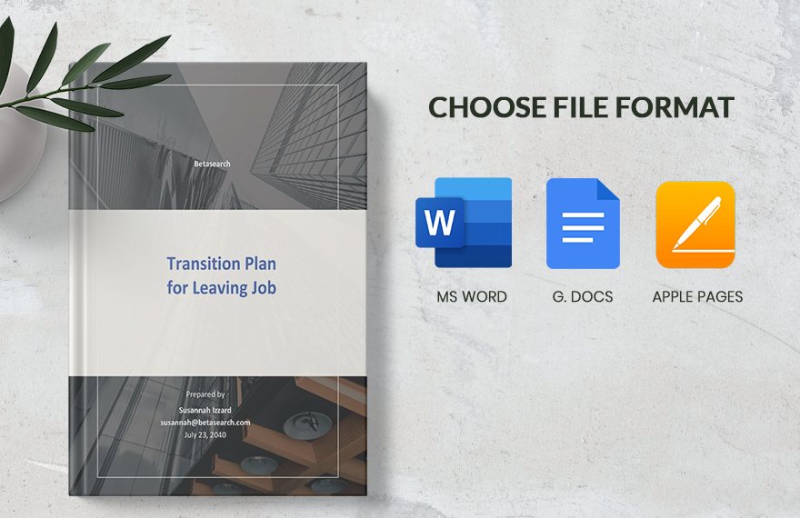 Transition Plan Template for Leaving Job Template
