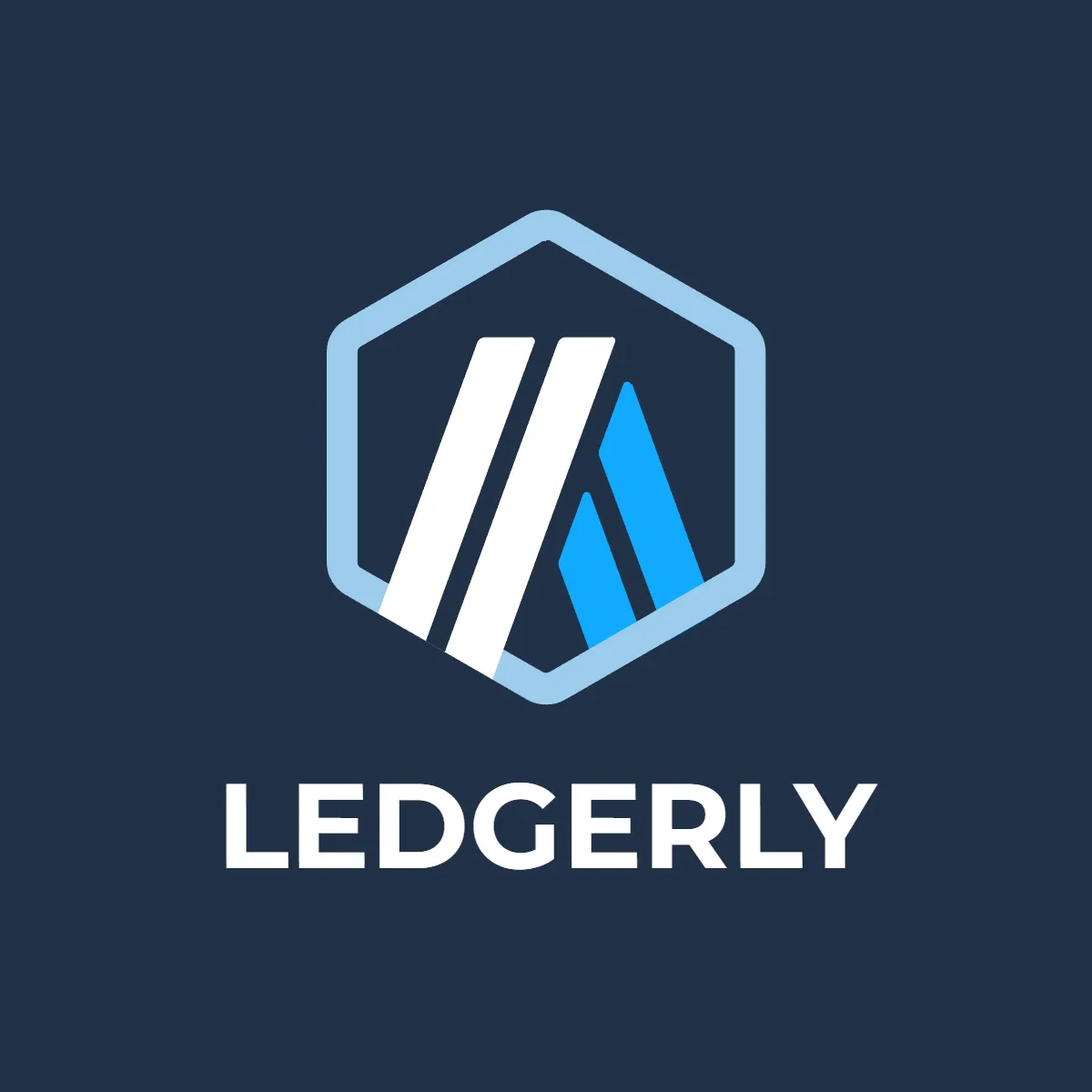 Accounting Firm Logo