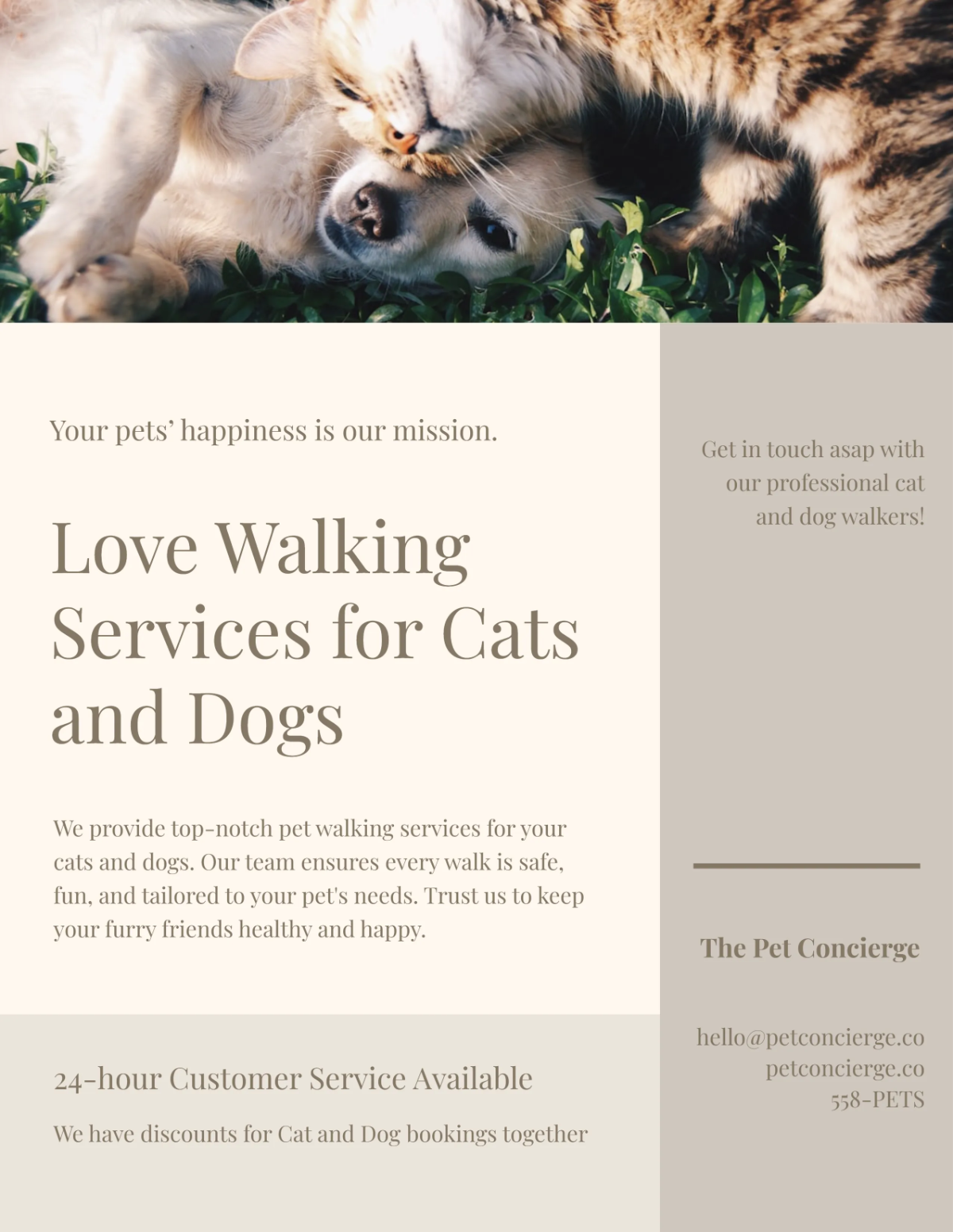 Free Aesthetic Cat and Dog Walker Flyer Template to Edit Online