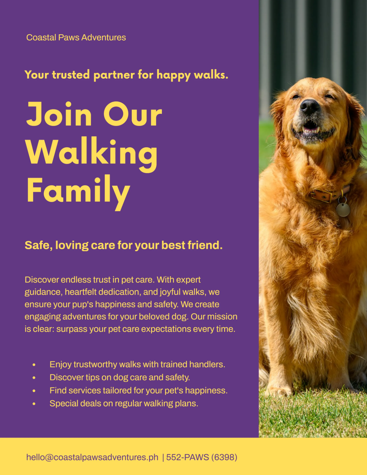 Free Trustworthy Dog Walker Flyer Template to Edit Online