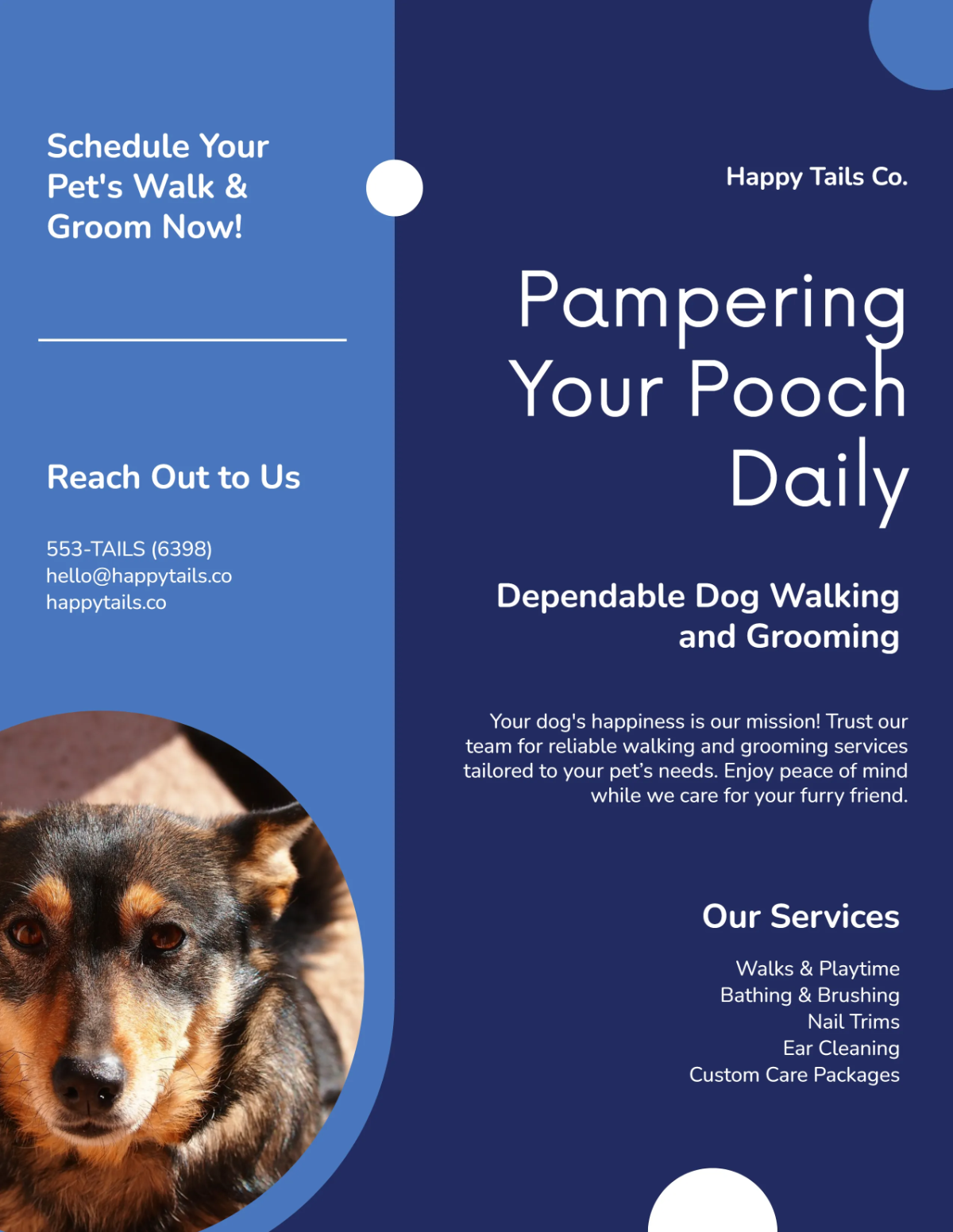 Free Blue Grooming Dog Walker Flyer Template to Edit Online