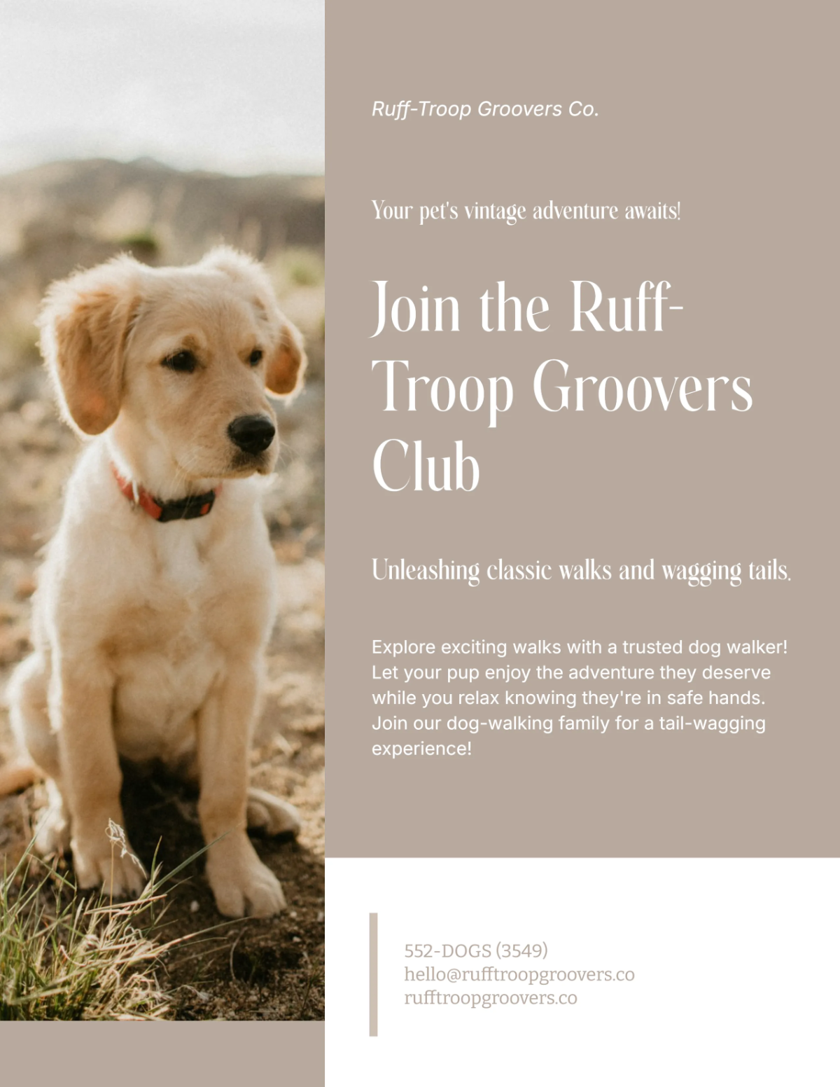 Free Vintage Dog Walker Flyer Template to Edit Online