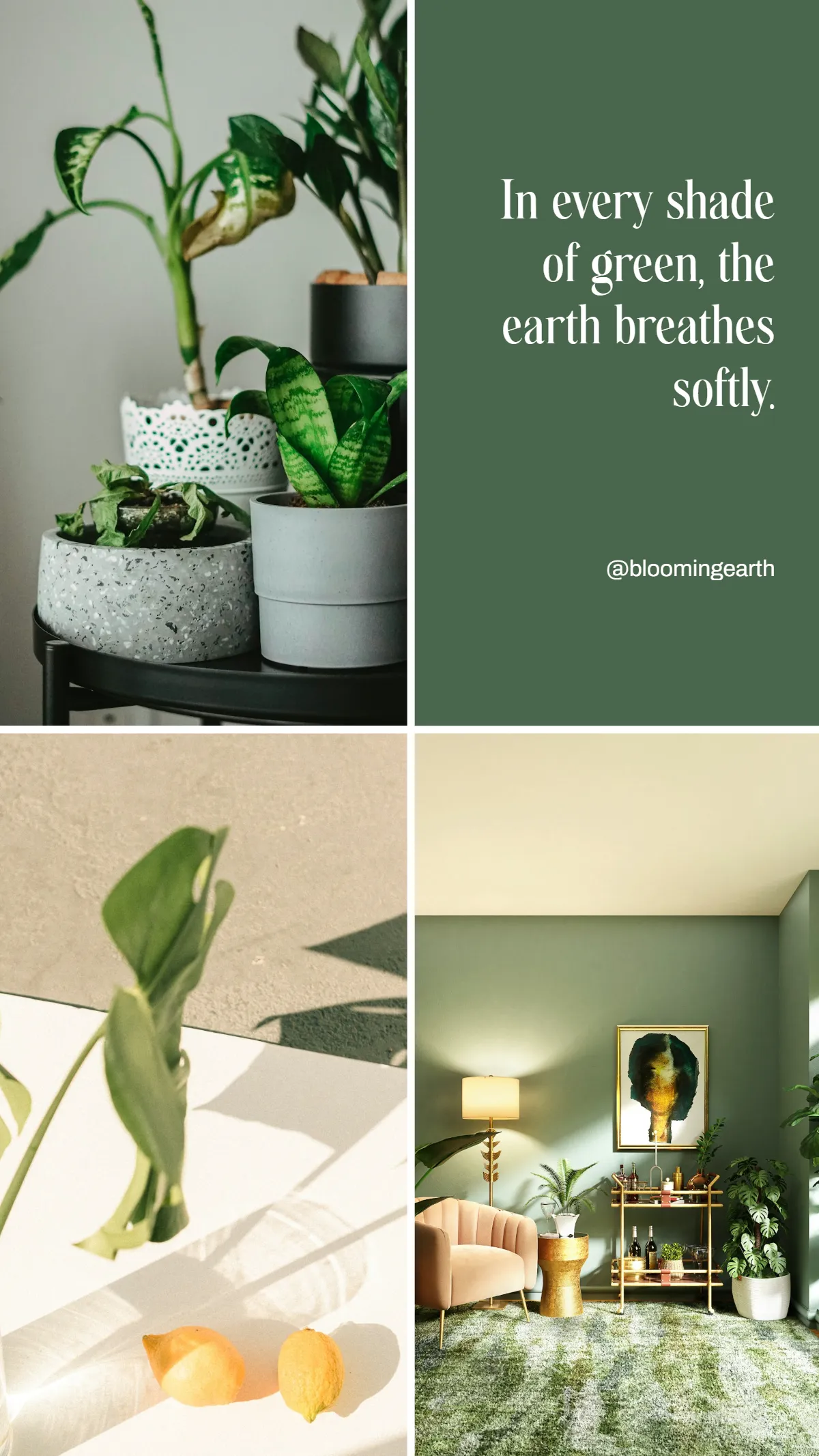 Free Seamless Green Instagram Story Grid Template to Edit Online