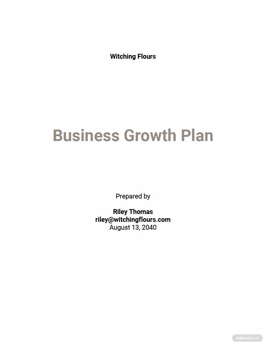 Business Growth Plan Template Google Docs Word Apple Pages