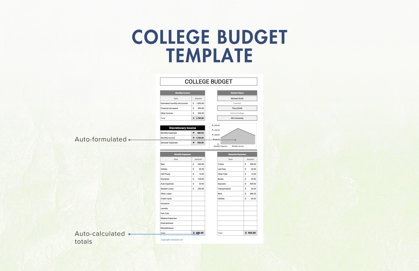 Sample College Budget Template