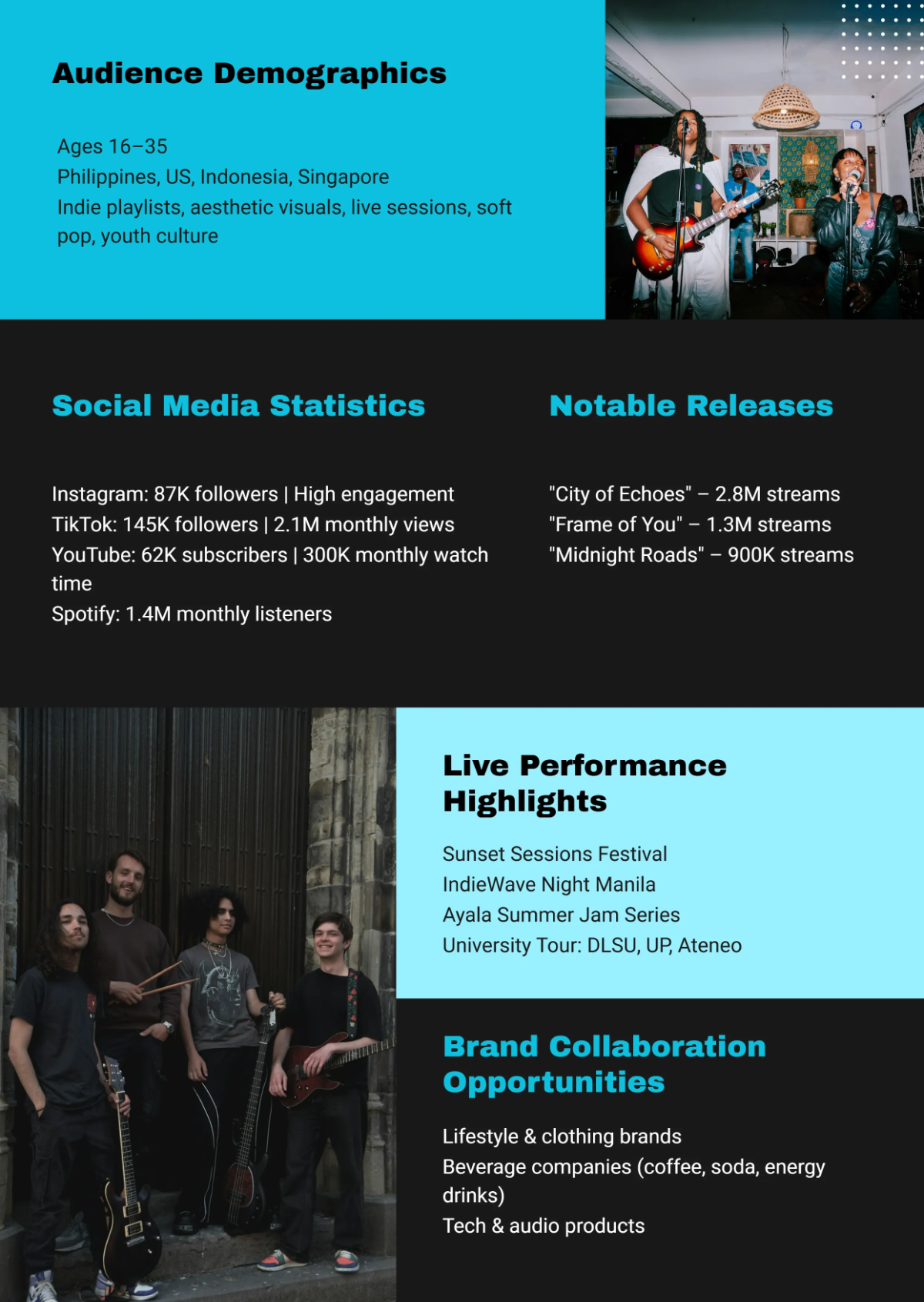 Free Band Media Kit Template to Edit Online