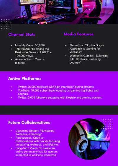 Free Streamer Media Kit Template to Edit Online
