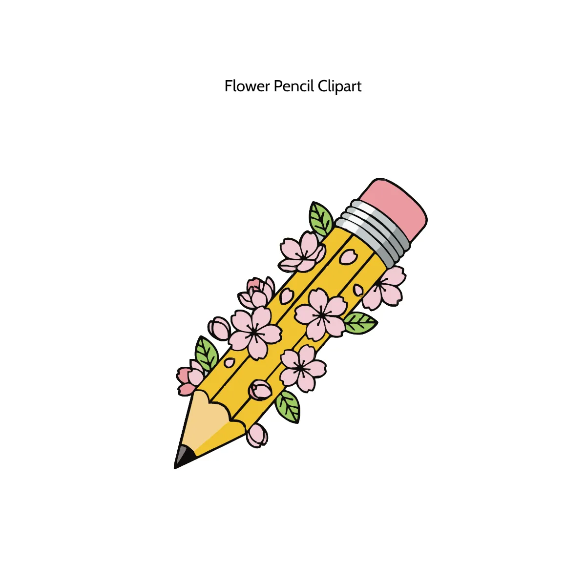 Free Flower Pencil Vector Clipart (PNG, SVG) to Edit Online