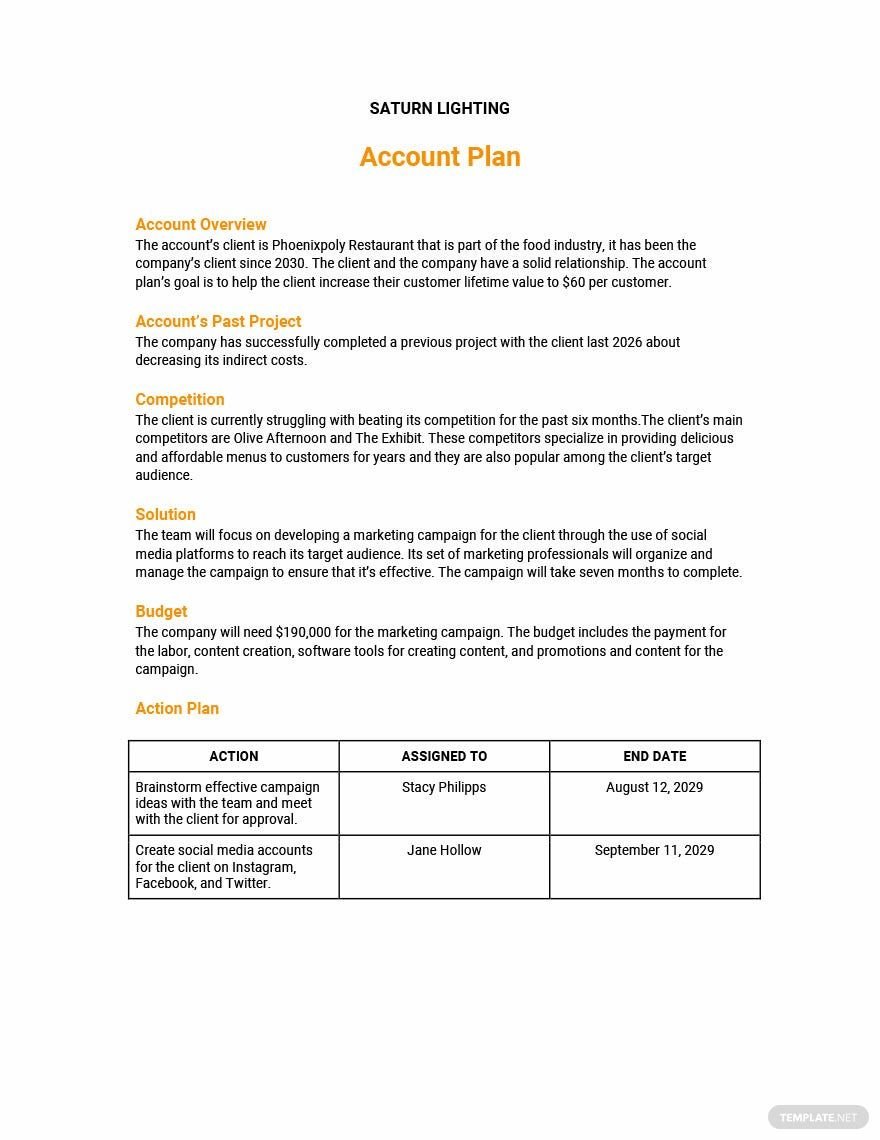 One Page Account Plan Template