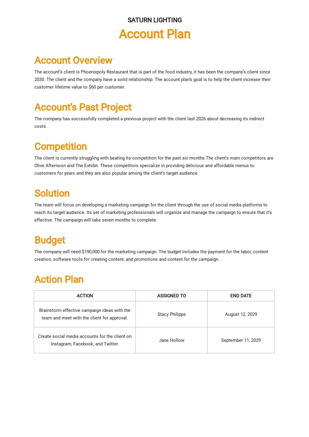 Account Plan Format Template [Free PDF] Word