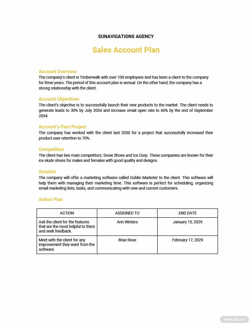 Sales Account Plan Template Google Docs, Word, Apple Pages, PDF